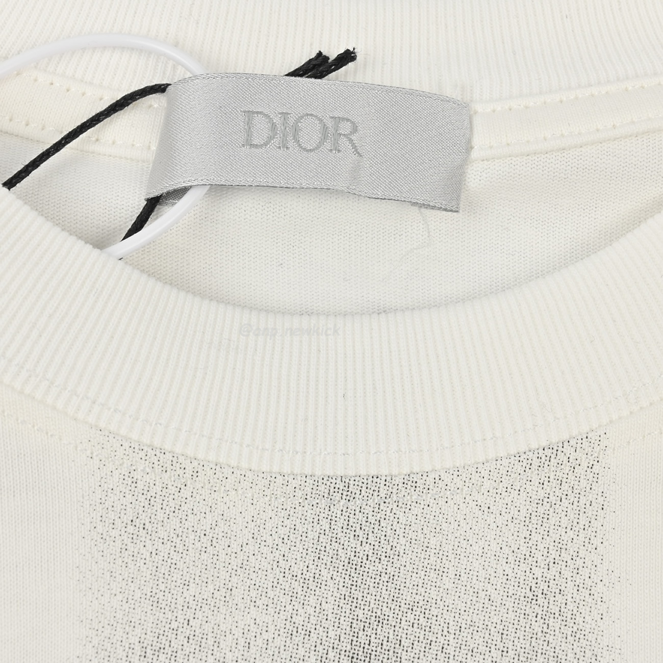 Dior Iron Tower Inkjet Short Sleeved T Shirt (7) - newkick.cc